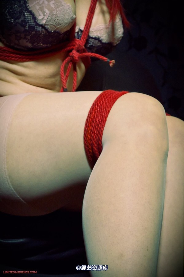 limitedaudience - 2013 andrea rosu tied on the couch 2 第 18 张图片