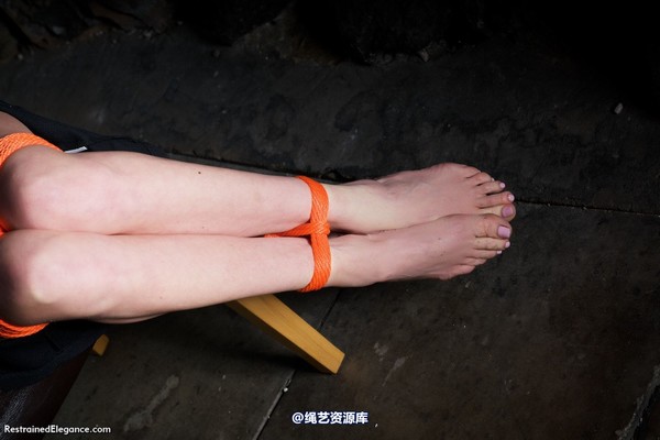 restrainedelegance - You WILL tell us, Miss Price 第 83 张图片