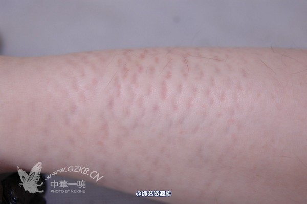中华一晓 - 中华一晓 NO.0118 第 55 张图片