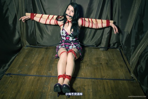 limitedaudience - 2013 stacey von time challenge 2 第 12 张图片