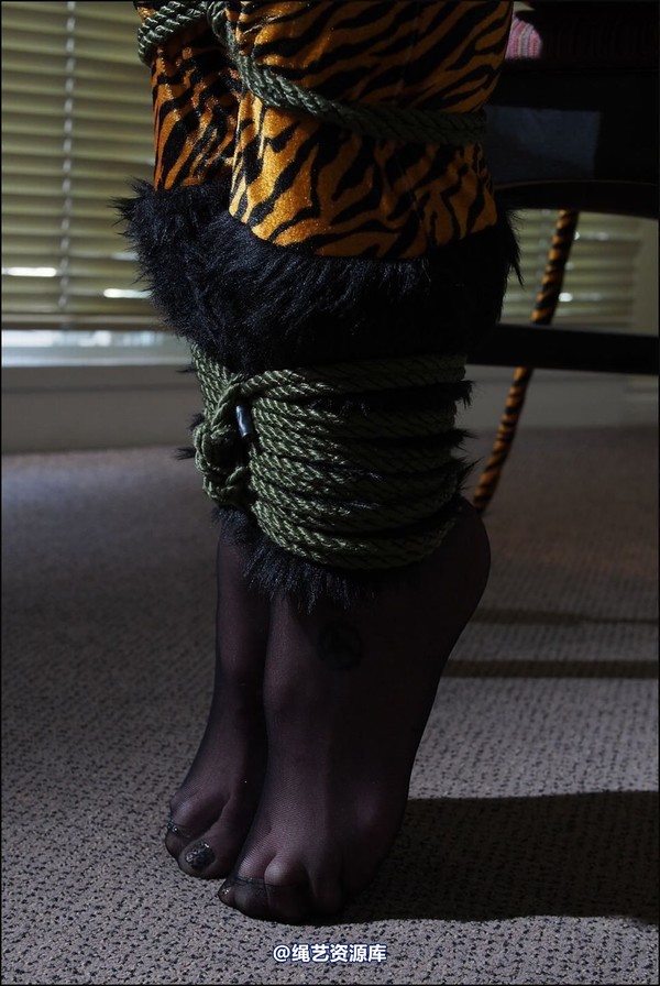 simplytied - A Tiger tied 第 28 张图片