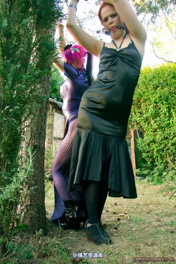 limitedaudience - 2011 beckykat loltaru chained tree seesaw 第 7 张图片