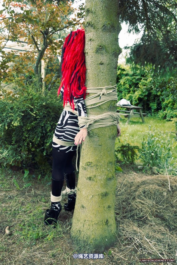 limitedaudience - 2012 andromedax bound to a tree 第 33 张图片