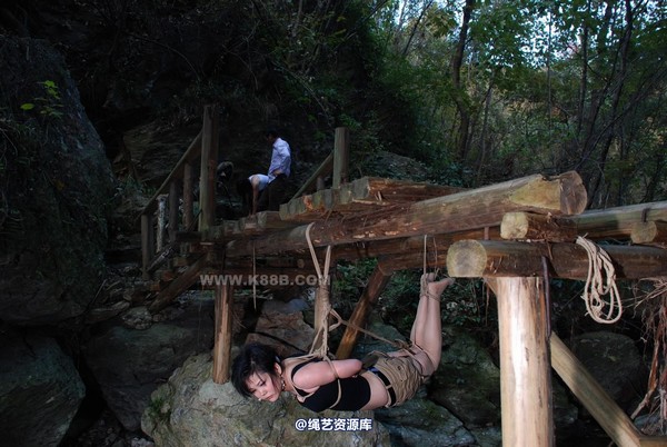 千丝万缕 - 20081113 第 85 张图片