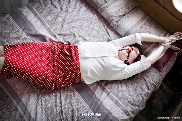 limitedaudience - 2012 catya bound secretary 2 第 18 张图片