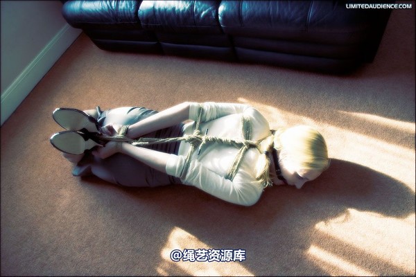 limitedaudience - 2008 ariel hogtied secretary 2 第 18 张图片