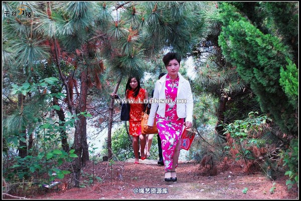 千丝万缕 - 2008-04-23-1日照片 第 35 张图片
