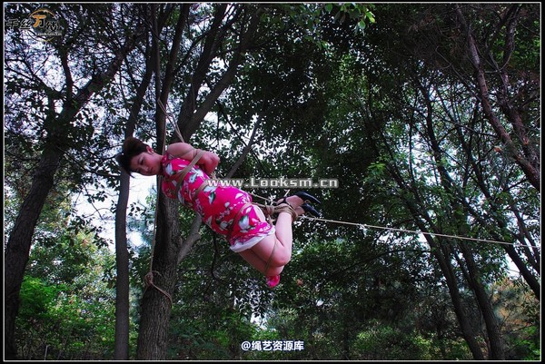 千丝万缕 - 2008-04-23-1日照片 第 31 张图片