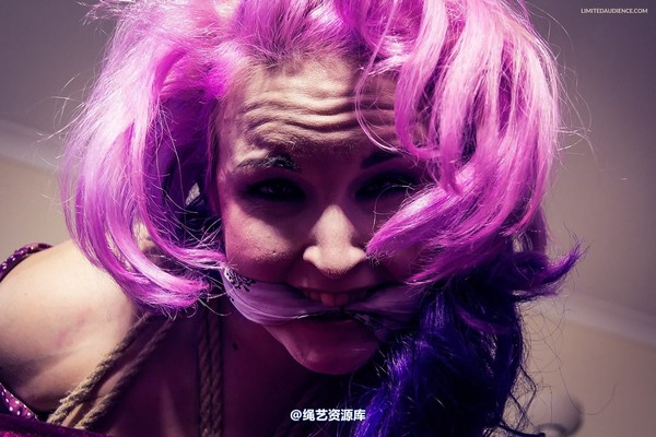 limitedaudience - 2013 assisted suicide hogtie centre piece 第 3 张图片