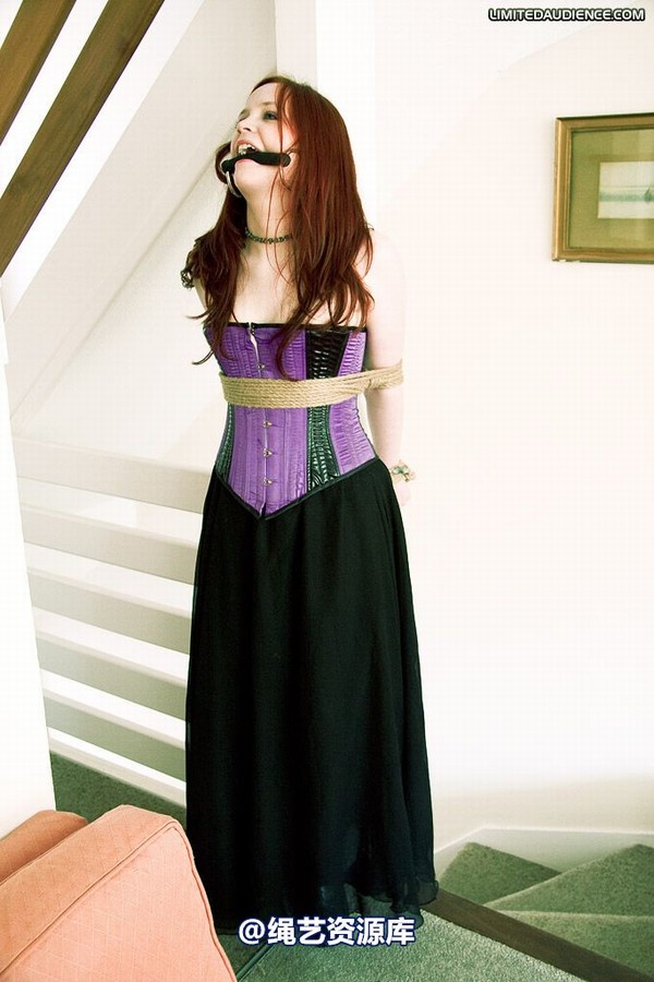 limitedaudience - 2009 brede the party slave two part 2 第 30 张图片