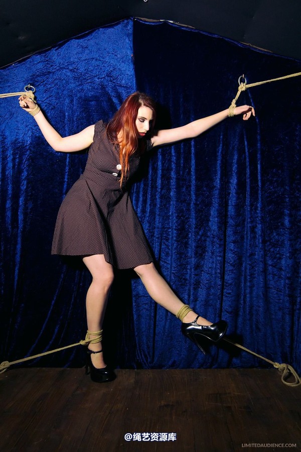 limitedaudience - 2013 ivory not what she meant 2 第 2 张图片