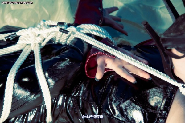 limitedaudience - 2010 jenvy hogtied 第 3 张图片
