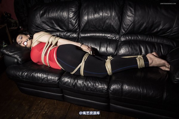 limitedaudience - 2015 anastasia bound on the couch 第 27 张图片