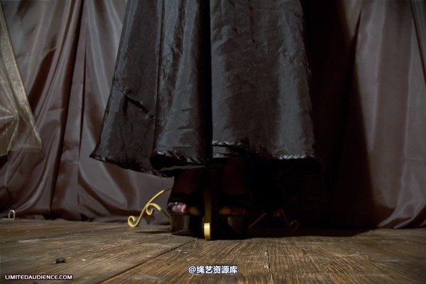 limitedaudience - 2011 elyssia bound to a pole 2 第 2 张图片