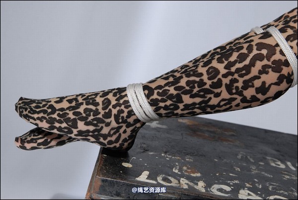 simplytied - Jinx in animal print 第 19 张图片