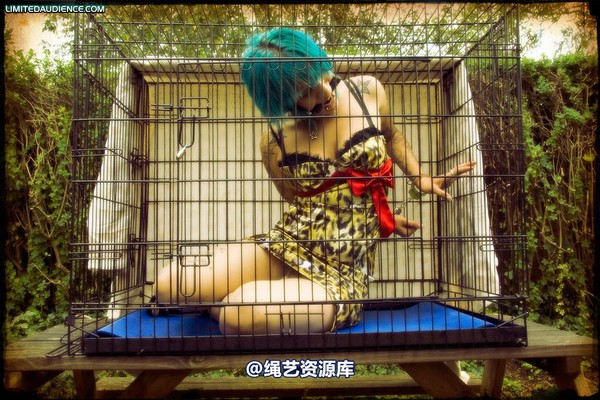 limitedaudience - 2009 b caged animal 第 12 张图片