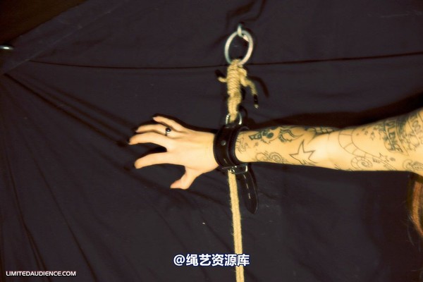 limitedaudience - 2009 b nattsuko brick torment 第 28 张图片