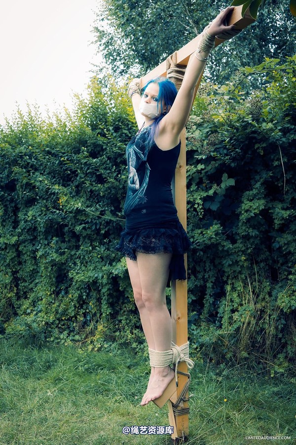 limitedaudience - 2013 beckykat crux suspension 第 6 张图片