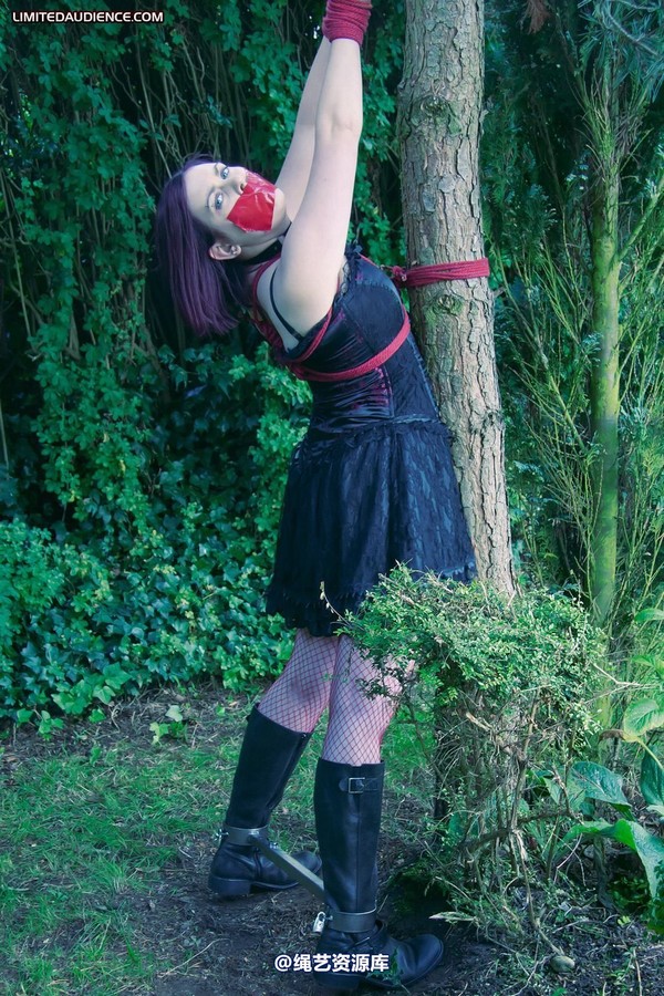 limitedaudience - 2011 carmina and the tree 3 第 20 张图片