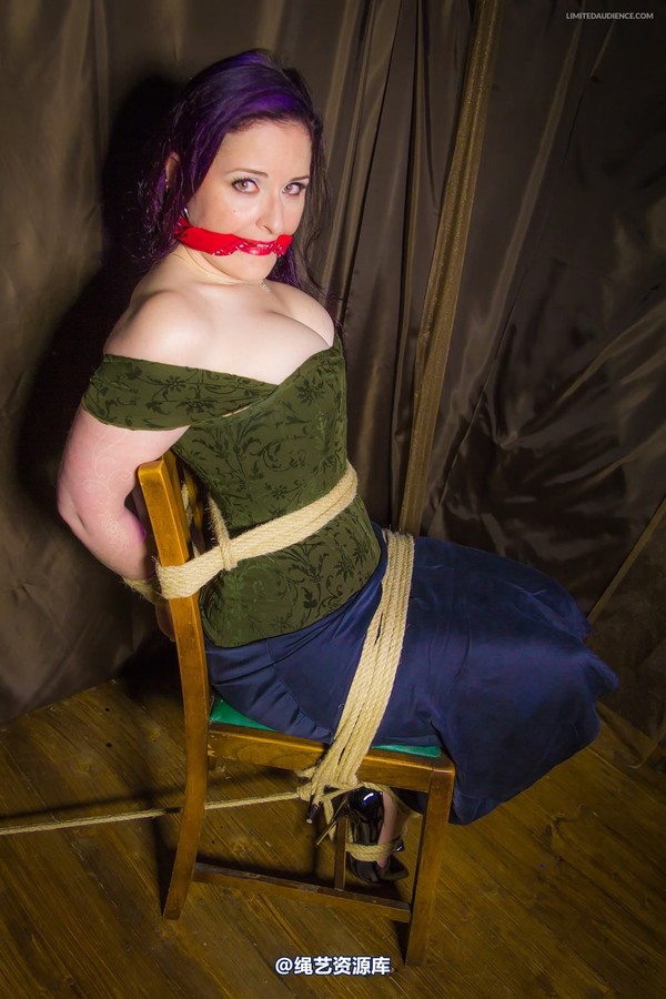 limitedaudience - 2014 caroline pierce captured damsel 第 34 张图片