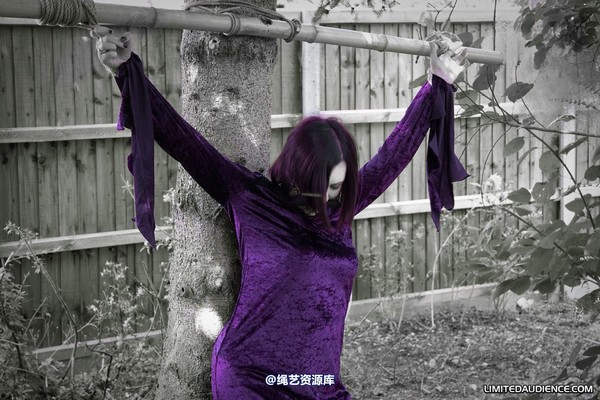 limitedaudience - 2010 carmina unwilling offering 第 17 张图片