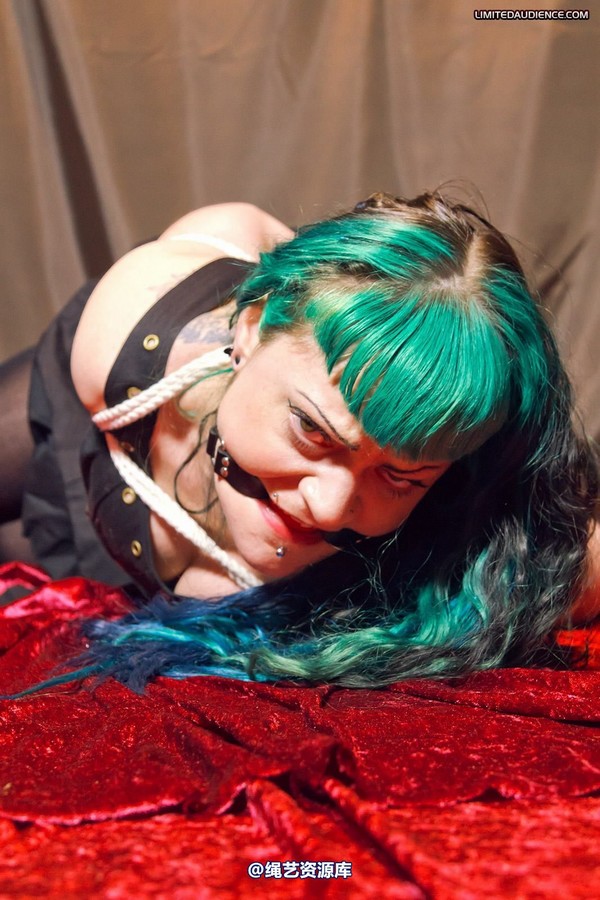 limitedaudience - 2012 raevan hogtied 第 22 张图片