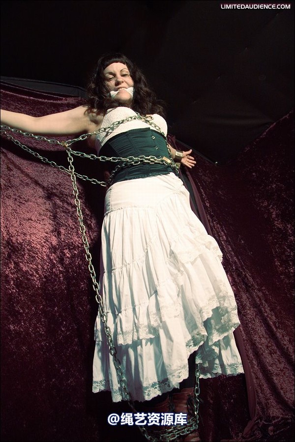 limitedaudience - 2008 veriddian chains on velvet 第 7 张图片