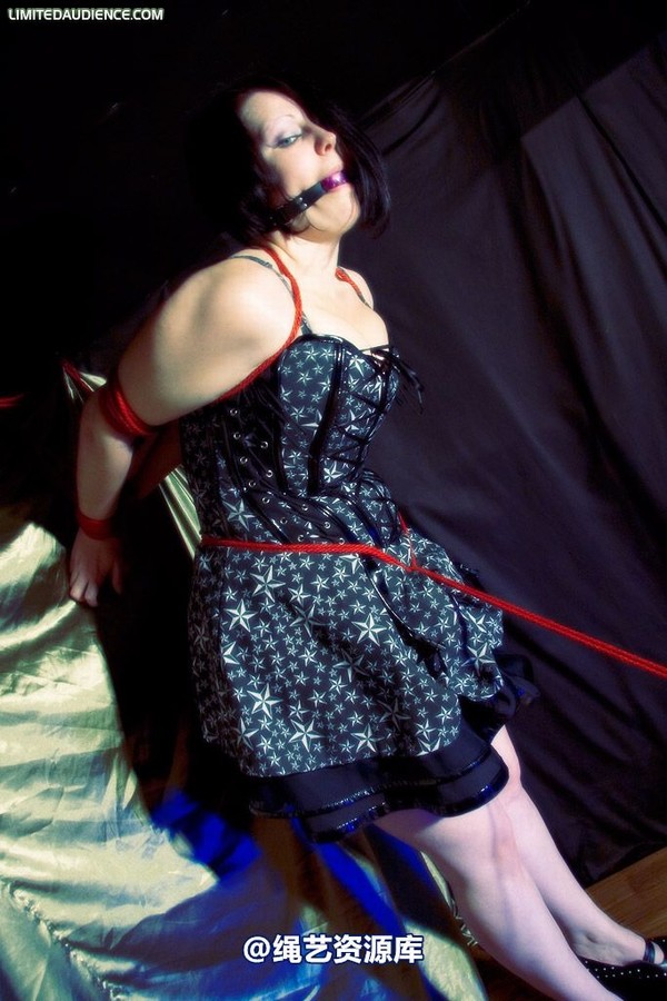 limitedaudience - 2009 deception a painful wait 第 10 张图片