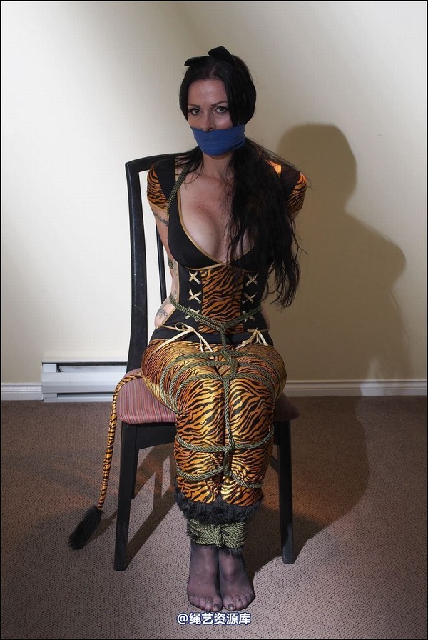 simplytied - A Tiger tied 第 31 张图片