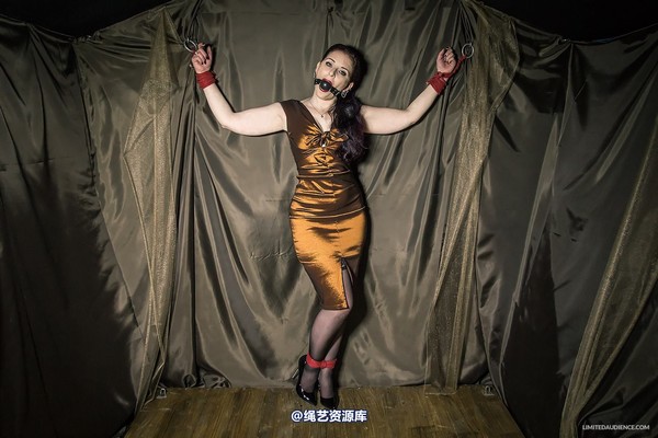 limitedaudience - 2014 caroline pierce bondage in bronze 第 12 张图片