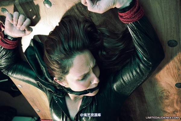 limitedaudience - 2010 sammie b devour 第 6 张图片