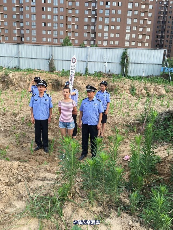 mj影视 - 贩毒女孩紫琪 第 71 张图片