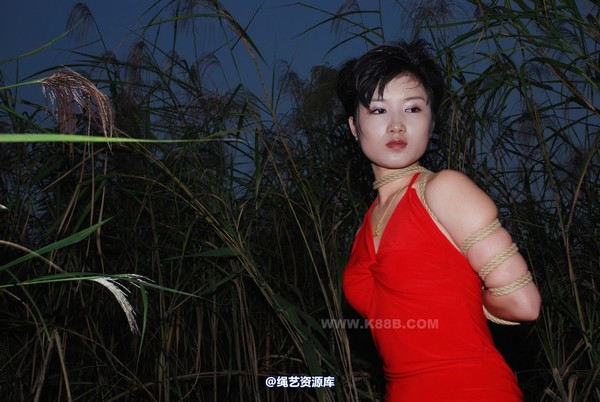 千丝万缕 - 20081012 第 24 张图片