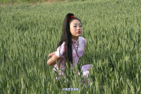 胜景山庄 - 151-麦田绳缚 第 43 张图片