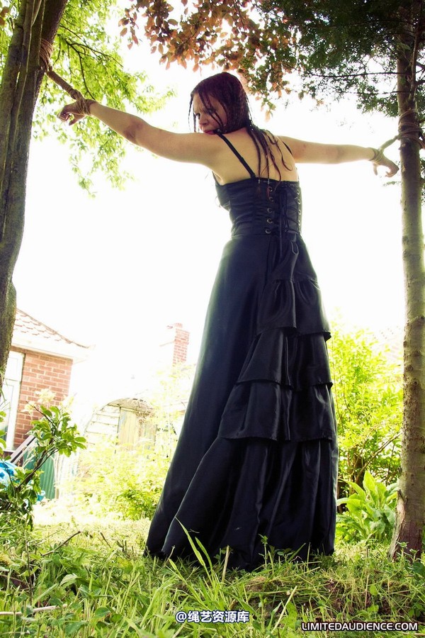 limitedaudience - 2011 beckykat between trees 2 第 33 张图片