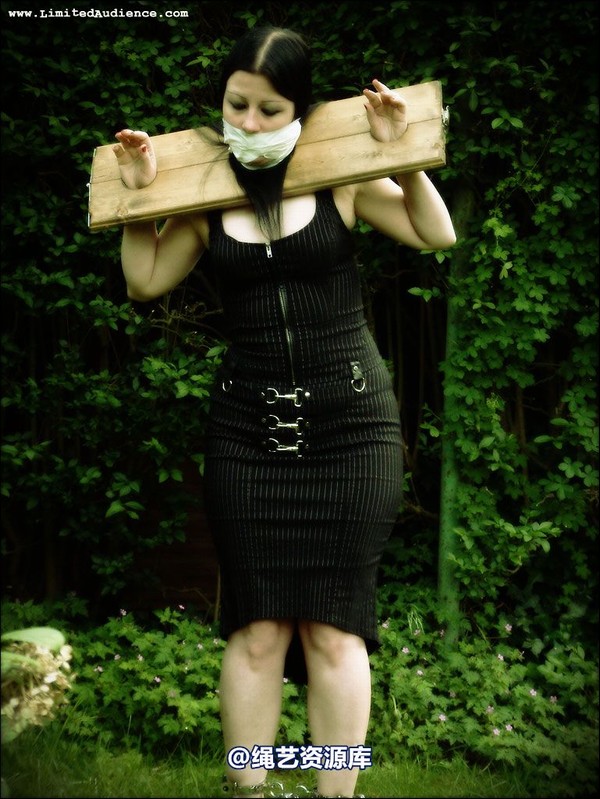 limitedaudience - 2007 asphyxia silenced secretary 第 16 张图片