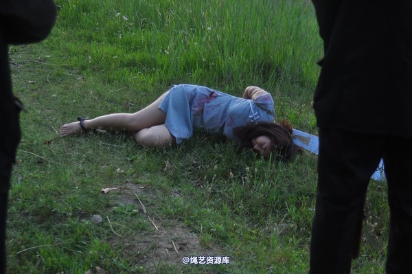 mj影视 - 凤凰烈焰 第 395 张图片