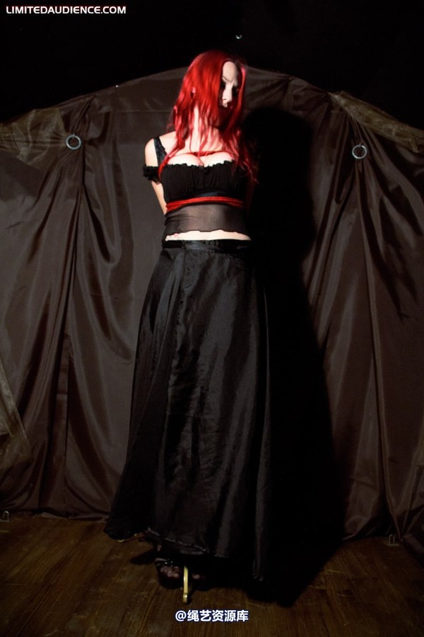 limitedaudience - 2010 elyssia bound to a pole 第 9 张图片