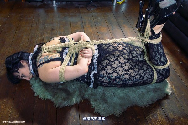 limitedaudience - 2013 dynamo hogtied 第 5 张图片