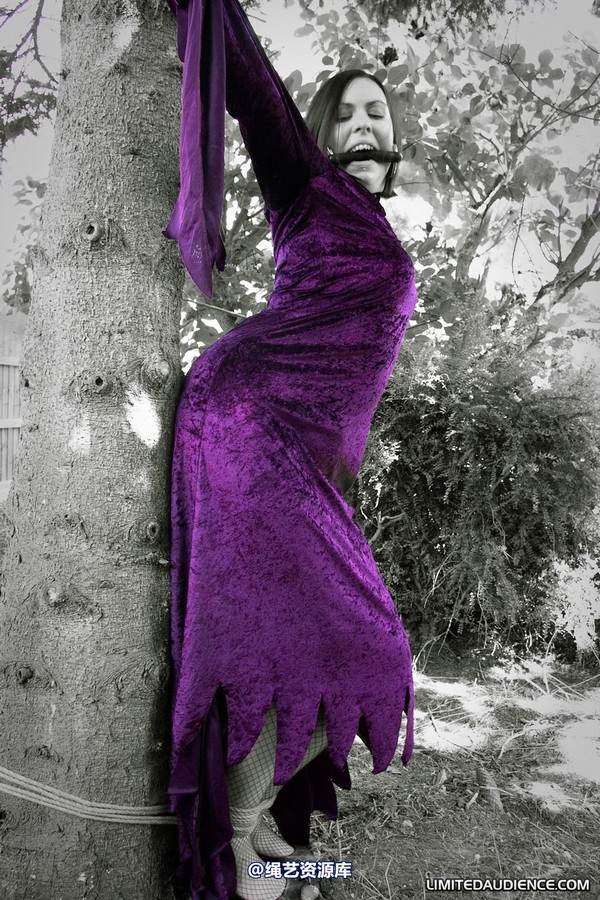 limitedaudience - 2011 carmina unwilling offering 2 第 6 张图片