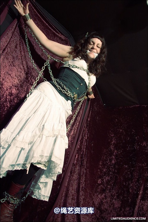 limitedaudience - 2008 veriddian chains on velvet 第 10 张图片