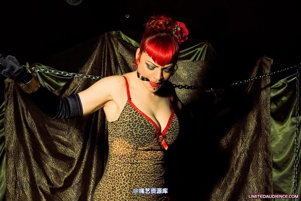 limitedaudience - 2009 raevan captured huntress 第 11 张图片