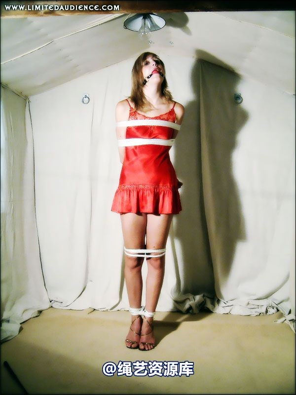 limitedaudience - 2007 ariel gradual restraints 第 42 张图片