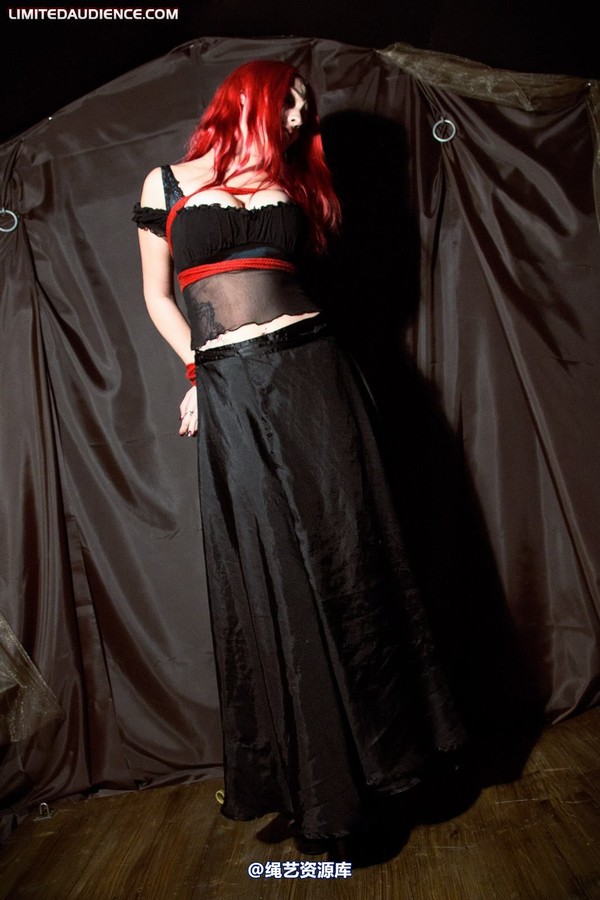 limitedaudience - 2010 elyssia bound to a pole 第 2 张图片