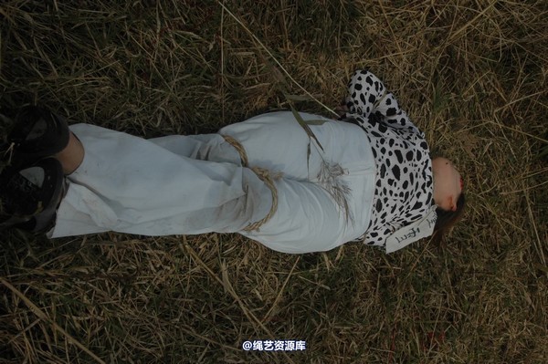 mj影视 - 血泪控诉刑场 第 335 张图片