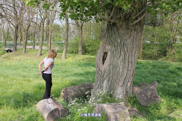 boundlife - bl448 第 46 张图片