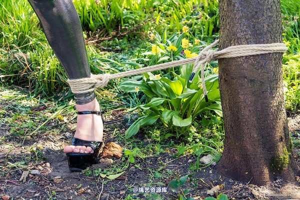 limitedaudience - 2013 elyssia stretched out 第 1 张图片