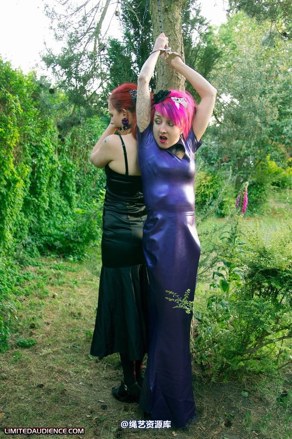 limitedaudience - 2011 beckykat loltaru chained tree seesaw 2 第 27 张图片
