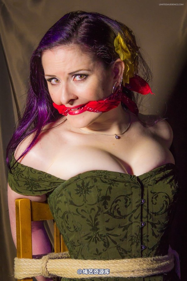 limitedaudience - 2014 caroline pierce captured damsel 第 30 张图片
