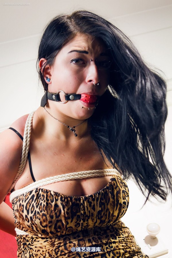 limitedaudience - 2014 stacey von strappado 2 第 29 张图片